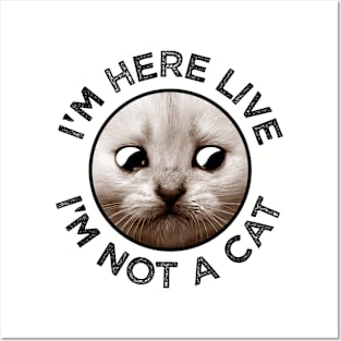 I'm Not A Cat Funny Lawyer Meme Video Zoom Call Posters and Art